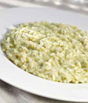 Risotto with brandy , basil pesto and scamorza cheese