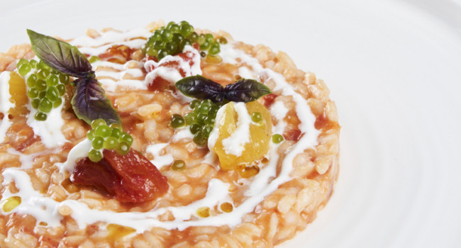 RISOTTO WITH POMODORINA SAUCE, CONFIT  TOMATOES, CREAMED BURRATA AND BASIL PEARLS